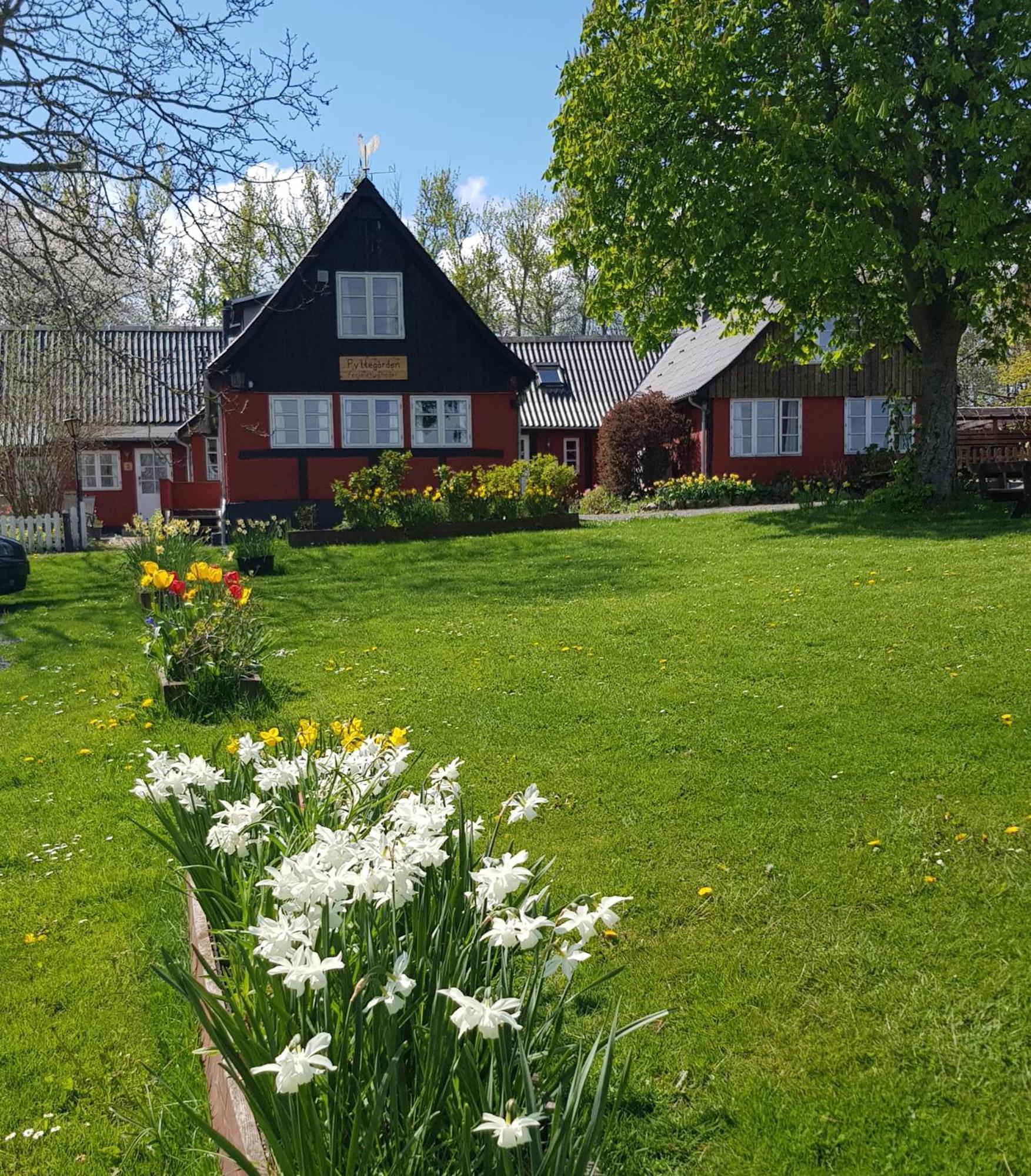 Pyttegarden Apartments Gudhjem Esterno foto
